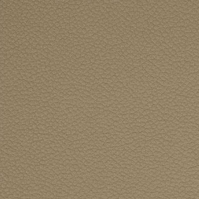 cuir fleur corrigée